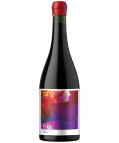 Jaier Malbec Caja x 6 botellas